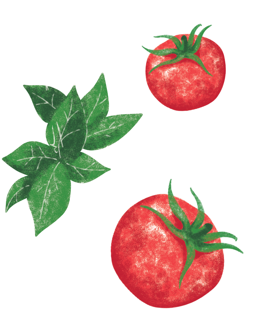 Tomaten & Basilikum