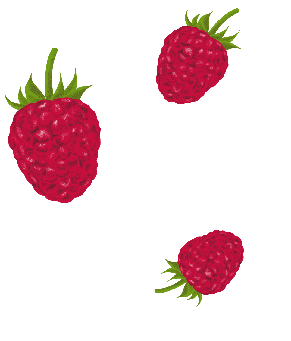 Himbeere